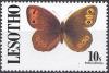 Colnect-2249-581-Scotch-Argus-Erebia-aethiops.jpg