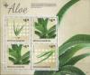 Colnect-2453-368-Aloe-Aloe-vera.jpg