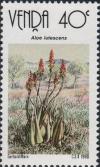 Colnect-2562-451-Aloe-lutescens.jpg