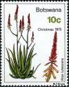 Colnect-5780-526-Aloe-lutescens.jpg