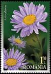 Colnect-6006-365-Aster-alpinus.jpg