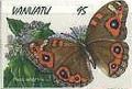 Colnect-1245-822-Meadow-Argus-Precis-villida.jpg