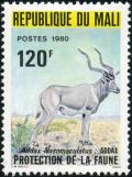 Colnect-2000-316-Addax-Addax-nasomaculatus.jpg