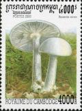 Colnect-2049-768-Amanita-verna.jpg