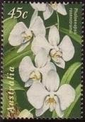 Colnect-438-707-Phalaenopsis-amabilis-subsprosenstromii.jpg