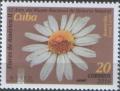 Colnect-4423-005-Marguerite-Argyranthemum-Saint-Lucia.jpg