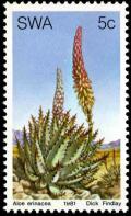 Colnect-5209-156-Aloe-Erinacea.jpg