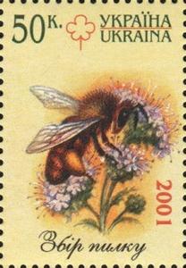 Colnect-3499-219-Bee-Apis-sp-on-Flower.jpg