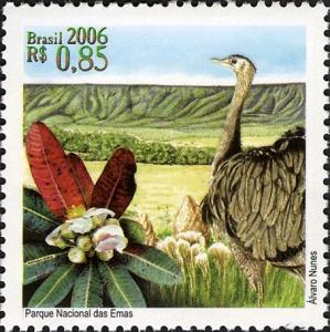 Colnect-477-660-Greater-Rhea-Rhea-americana-Kielmeyera-rubriflora.jpg