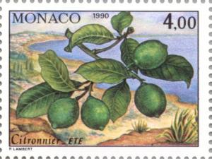 Colnect-149-457-Branch-of-a-lemon-tree-in-Summer.jpg