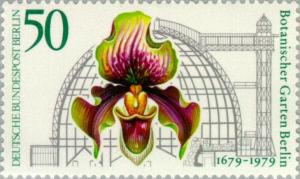 Colnect-155-410-Paphiopedilum-Aureum-large-tropical-house.jpg