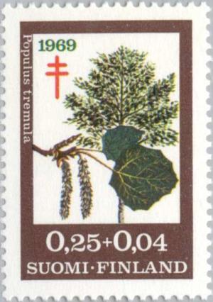 Colnect-159-527-European-Aspen-Populus-tremula.jpg