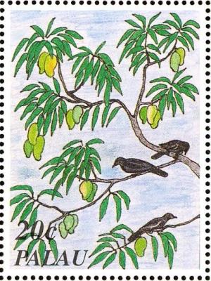 Colnect-2425-177-Micronesian-Starling-Aplonis-opaca-orii-Indian-Mango-Man.jpg