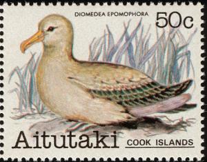 Colnect-2500-409-Southern-Royal-Albatros-Diomedea-epomophora.jpg