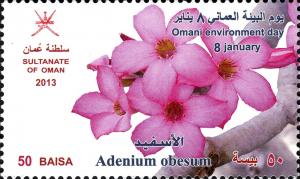 Colnect-3056-428-Adenium-obesum.jpg