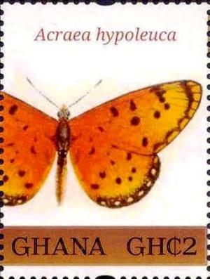 Colnect-3455-648-Namibian-Acraea-Acraea-hypoleuca.jpg