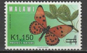 Colnect-4803-901-Fiery-Acraea-Acraea-acrita.jpg