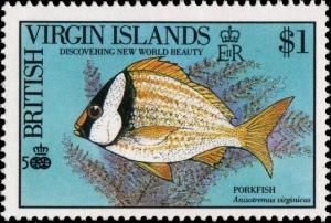 Colnect-5151-111-Porkfish-Anisotremus-virginicus.jpg