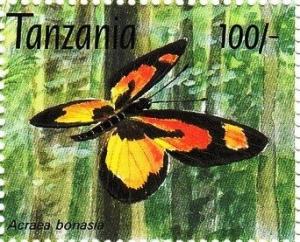 Colnect-5975-358-Bonasia-Acraea-Acraea-bonasia.jpg