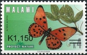 Colnect-6028-512-Fiery-Acraea-Acraea-acrita.jpg