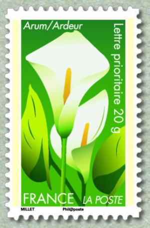 Colnect-999-092-Arum--Ardeur.jpg