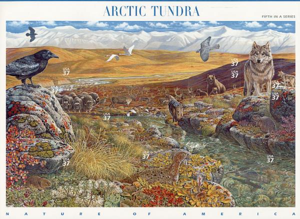 Colnect-2784-710-Arctic-Tundra.jpg