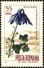 Colnect-5051-146-Columbine-Aquilegia-transsylvanica.jpg