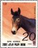 Colnect-723-844-Mule-Equus-asinus-x-Equus-caballus.jpg