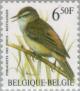 Colnect-186-922-Sedge-Warbler-Acrocephalus-schoenobaenus.jpg