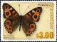 Colnect-2026-396-Meadow-Argus-Junonia-villida.jpg