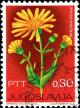 Colnect-5302-126-Arnica-montana.jpg