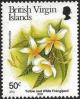 Colnect-5352-576-Yellow--amp--white-frangipani.jpg