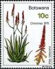 Colnect-5780-526-Aloe-lutescens.jpg