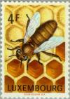 Colnect-134-271-Honey-Bee-Apis-mellifica.jpg