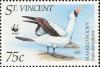 Colnect-1748-175-Masked-booby-Sula-dactylatra.jpg