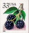 Colnect-201-235-Fruit-BerriesBlackberries.jpg