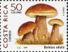 Colnect-2197-762-Boletus-edulis.jpg