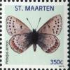 Colnect-2628-549-Acmon-Blue-Plebejus-acmon.jpg