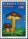 Colnect-2631-866-Boletus-badius.jpg