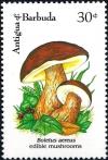 Colnect-2959-557-Boletus-Aereus.jpg