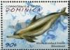 Colnect-3281-494-Atlantic-Hump-backed-Dolphin-Sousa-teuszii.jpg