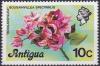 Colnect-3802-693-Bougainvillea.jpg