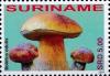 Colnect-4044-935-Boletus-edulis.jpg