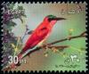 Colnect-4475-837-Red-throated-Bee-eater-Merops-bullocki-.jpg