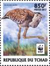 Colnect-4805-530-Arabian-Bustard-Ardeotis-arabs.jpg