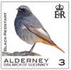 Colnect-6440-730-Black-Redstart.jpg