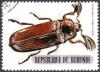 Colnect-958-650-Giant-Acacia-Click-Beetle-Tetralobus-flabellicornis.jpg