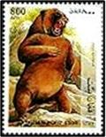 Colnect-2204-180-Cave-bear-Ursus-spelaeus.jpg