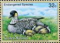 Colnect-2336-464-Nene-Branta-sandvicensis.jpg