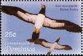 Colnect-3202-503-Brown-Booby-Sterna-fuscata.jpg